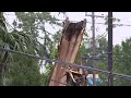 Houston Heights community cleans up after trees fell on homes during Thursday's storm