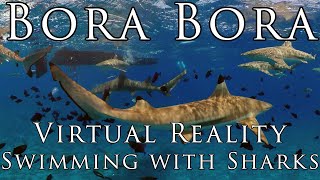 BORA BORA in VR -  Swimming with Sharks ~ Virtual Reality Experience in 5k 360º