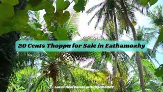 20 Cents #Thoppu for Sale in #Eathamozhy #lotusrealestate #nagercoil #இடம் வாங்க விற்க