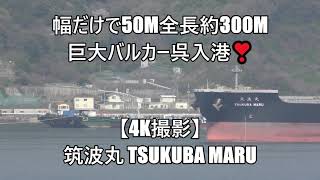 幅だけで50m全長約300m巨大バルカー入港❣【4K撮影】筑波丸 TSUKUBA MARU