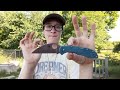 spyderco delica 4 k390 full review after a month of consecutive carry most chaotic review ever