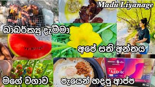 අපේ සති අන්තය | බාබර්ක්‍යු දැම්මා | මම ඉක්මනට ආප්ප හදන විදිය | අලුත් ටීව් එක | Madu Liyanage