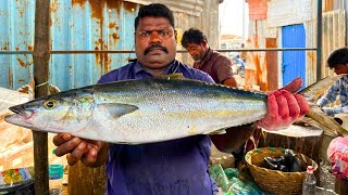 KASIMEDU 🔥 SPEED SELVAM | POONGUZHALI FISH CUTTING VIDEO | IN KASIMEDU | FF CUTTING 🔪