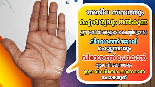 വിദേശ രേഖകൾ നിങ്ങളുടെ കൈയ്യിലുണ്ടോ.. || TRAVEL LINE | FOREIGN SETTLEMENT | VedicPalmistry/Malayalam