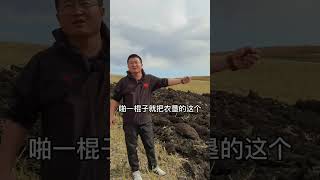 我爱生养我的黑土地，我自豪我是农民的儿子很自豪我是牧人的后代，但要客观理性爱家乡谋发展，做一名合格的新农人新牧人，做好接班人#vlog #日常 #农村生活