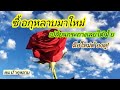 ซื้อกุหลาบมาใหม่ | เปลี่ยนกระถางได้เลยหรือเปล่า | EP.320 | คนบ้ากุหลาบ