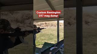 Custom Remington 597 mag dump!