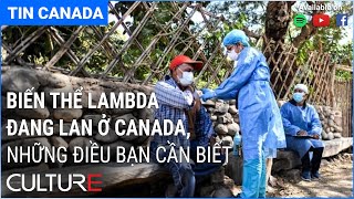 🔴 TIN CANADA 09/07 | Pfizer xin duyệt liều 3; Khách du lịch chưa tiêm phòng không được vào Canada