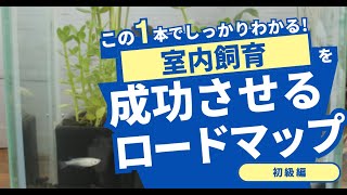 メダカ初心者必見！【室内飼育の全ての設備】・餌・水質管理まで完全解説