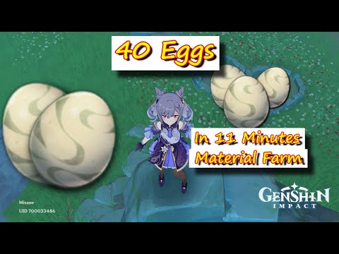 40 eggs in 11 minutes Mondstadt region Genshin Impact Hardware Farm (How to farm)