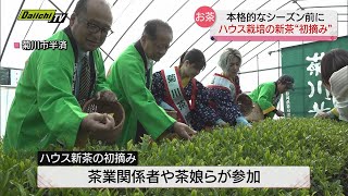 【新茶】本格シーズン前にハウスで初摘み　約４キロが製茶され７日の茶業貢献者供養祭で献茶へ　静岡・菊川市