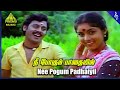 Nee Pogum Padhaiyil Video Song | Gramatthu Minnal Movie Songs | Ramarajan | Revathi | Ilaiyaraaja