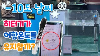 -10도 매우 추운 날씨에 가정용 히터기는 어항의 온도를 유지할까? 50w,100w,200w,300w 가정용 히터기 테스트!