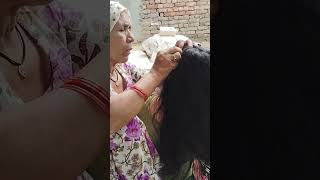 Lice Removal Techniques / Nitpicking In Long Hair New #shorts #nitpicking