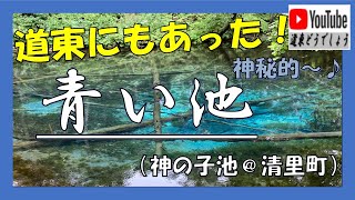 【道東どうでしょう】ジブリの世界？神秘的な「青い池」神の子池（清里町）清里町的蓝色池塘