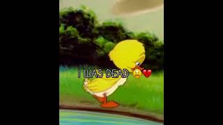 The ugly duckling sad moment 😢