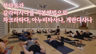 [무이스요가] 하타요가/ 갈라바사나를 기본행법으로/ 차크라타다사나, 아누비타사나, 게란다사/ 초급부터 숙련까지 단계별 접근하는 요가수련