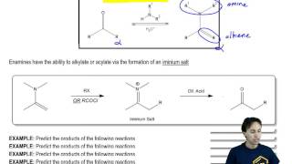 Enamine Alkylation and Acylation