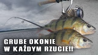 Takich brań dawno nie miałem!! | Grube Okonie w każdym Rzucie!! | Wędkarstwo 2024!!