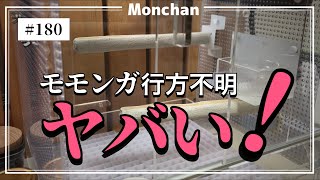 【悲報】モモンガが自力で扉を開けて行方不明です