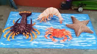 School Project - Sea Animal and Insect Model | Prawn | Crab | Star Fish | lobster