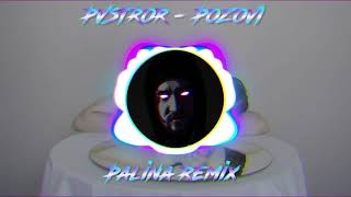 PVSTOR - POZOVI (PALINA REMIX)