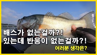 배스가 없는걸까?! 있는데 반응이 없는걸까?!(성암지 두번재)