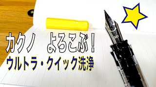 [万年筆　KAKUNOよろこぶ] 　ウルトラ・クイック洗浄！　WRITE IT ! 013 パイロット　カクノ