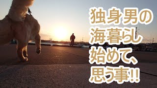 都会で暮らす独身男の海暮らし始めてみて感じたこと思う事ゴールデンレトリバーの子犬ティト。