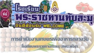 การดำเนินงานเกษตรเพื่ออาหารกลางวันโรงเรียนพระราชทานทับละมุ สพป.พังงา