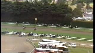 1984 Melbourne Cup