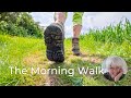 The Morning Walk: An Invitation to Freedom—The Work of Byron Katie®