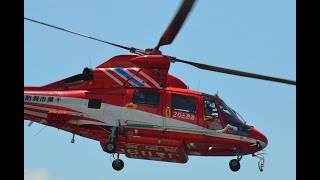 Japanese Coast Guard Demonstration @ Chiba Red Bull Air Race 2019