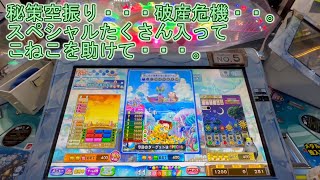 こねこのメダルゲーム日記No.78 破産危機・・・涙カラコロッタフローズンアイランド マーチンゲール風味で高額JP狙いたいにゃ！その2