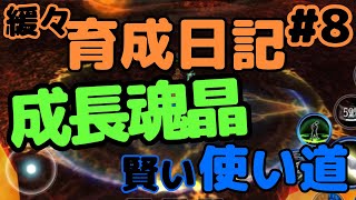 【育成アヴァベル】成長魂晶について知らないと損する！？種族魂晶の使い道🥳