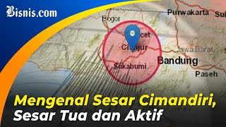 Gempa Bumi Cianjur, Ridwan Kamil: Korban Meninggal Mayoritas Anak-Anak