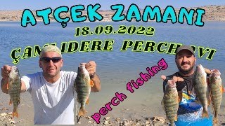 Çamlıdere Barajı[Atçek perch Avı (Sabah Suyu)#atçek #daiwa #camlidere #shimano #lrfavı