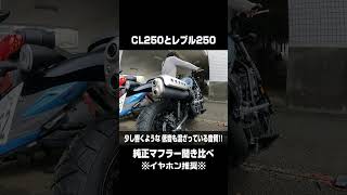 【音比較】新型CL250と大人気レブル250の純正マフラーサウンド比較動画です #shorts