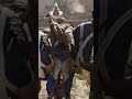 Double Assassinations From Every Assassin's Creed