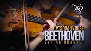 #TSODailyDose BEETHOVEN String Quartet