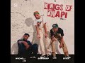 Sam Deep x Nvcho x Stixx - Gobhoza(Official Audio) ft Babalwa M