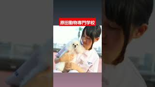 原田動物専門学校の素敵な思い出