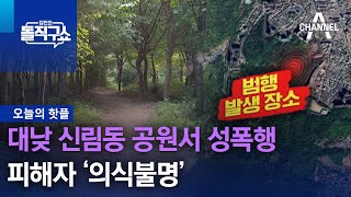 [핫플]대낮 신림동 공원서 성폭행…피해자 ‘의식불명’ | 김진의 돌직구 쇼 1320 회