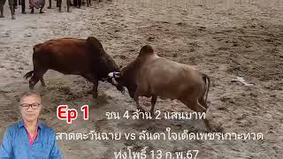 ลังสาดตะวัน (ขุนทอง) \u0026  ลันดาใจเด็ด (ลูกเพชร) #สนามทุ่งโพธิ์