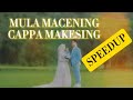 MULA MACENING CAPPA MAKESING/SPEEDUP_MUSIC🎧