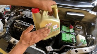 How to flush alto 800 radiator cleaning at home