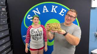 Check out out top Ball Python pick ups from 2022