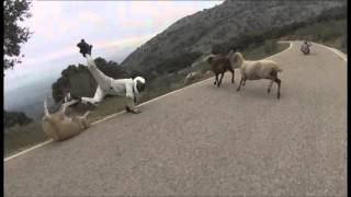 Roller skater crashes into sheep at high speed-TOP 3 Fails Downhill 2015