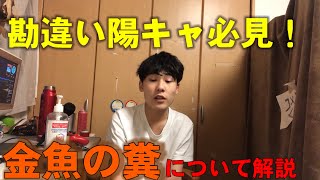 実は陰キャやぼっちより底辺！？3年間金魚の糞だった俺が金魚の糞について解説