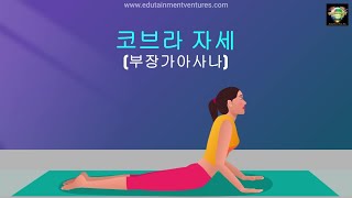 코브라 자세 | 부장가아사나